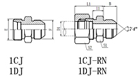 1CJ