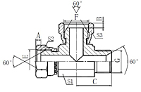 BSP-FemaleBSP-FemaleBSP-Male