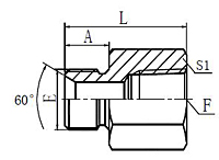 BSP-Male-60-SeatNPT-Female