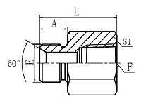 BSP-Male-60SeatBSP-Female