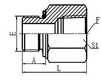 BSP-Male-O-RingNPT-Female