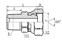 NPT-MaleNPSM-Female-60-Cone