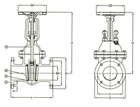 PN 10-16-25 Cast Steel Gate Valve