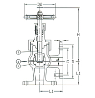 Series F7347 Bronze Angle Valve - Union Bonnet - JIS 5K