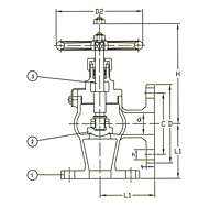 Series F7352 Bronze Angle Valve (SDNR) - JIS 5K