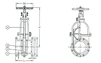 Series F7369 Cast Iron Gate Valve - JIS 16K