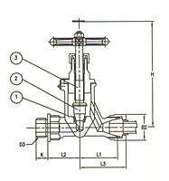 Series F7421 Forged Steel Globe Valve - JIS 20K