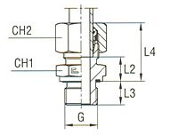 Male Stud Coupling with Elastomer Seal Thread BSP Parallel - Equipped B4 Ring