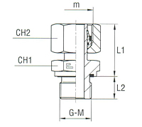 Stud Standpipe Adaptor with Elastomer Seal Thread BSP Parallel - Equipped B4 Ring