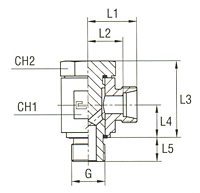 Banjo Coupling with Allow Screw and Elastomer Seal Thread BSP Parallel - Body Only