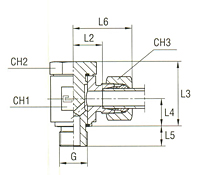 Banjo Coupling with Allow Screw and Elastomer Seal Thread BSP Parallel - Equipped B3 Ring