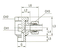 Banjo Coupling with Allow Screw and Elastomer Seal Thread BSP Parallel - Equipped B4 Ring