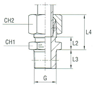 Male Stud Coupling Thread BSP Taper - Equipped B3 Ring