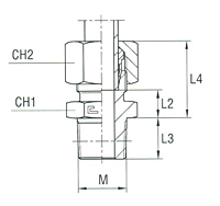 Male Stud Coupling Thread Metric Taper - Equipped B3 Ring