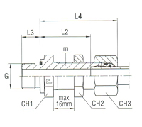 Bulkhead Connection with Elastomer Seal Thread BSP Parallel - Equipped B4 Ring