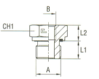 Male - Female Adapter with Elastomer Seal Thread BSP Parallel type 1074