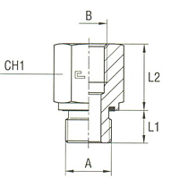 Male - Female Adapter with Elastomer Seal Thread BSP Parallel type 1075