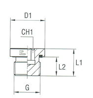 Closure Plug with Exagon Socket Head with Elastomer Seal Thread BSP Parallel