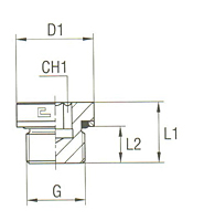 Closure Plug with Exagon Socket Head with O-Ring and Washer Thread BSP Parallel