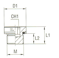 Closure Plug with Exagon Socket Head with O-Ring and Washer Thread Metric Parallel