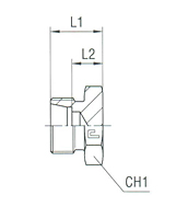 Blanking Plug for Tube Ends - Body Only