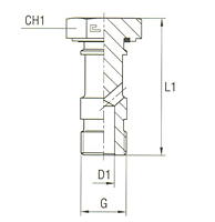 Banjos Bolts Thread BSP Parallel