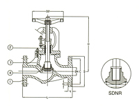 PN 16 Cast Iron Globe Valve, SDNR