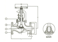 PN 16 Ductile Iron Globe Valve, SDNR