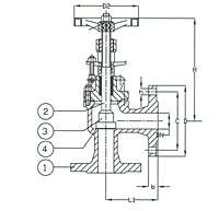 PN 16 Cast Iron Angle Valve, Regular