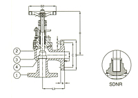 PN 16 Cast Steel Angle Valve, SDNR