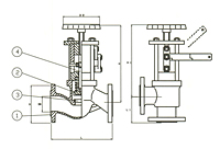 PN 40 Cast Steel Quick Closing, Angle