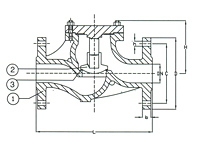 PN 16 Cast Iron Lift Check Valve, Globe Pattern