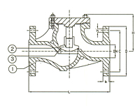 PN 40 Cast Steel Lift Check Valve, Globe Pattern