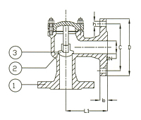 PN 40 Cast Steel Lift Check Valve, Angle Pattern