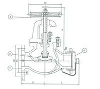 Class 150/300 Hose Globe Valve, Screwed and Bolted Bonnet - NST Threaded