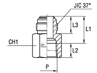 Female Stud Coupling Thread NPT - O-ring Body