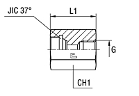 Gauge Coupling Thread BSP Parallel Form X  - O-ring Body