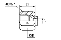 Gauge Coupling Thread BSP Parallel FormY  - O-ring Body