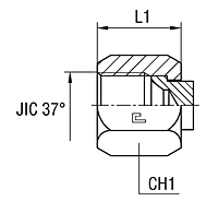 Female Plug