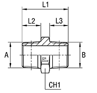 Male Straight Adapter Thread NPT