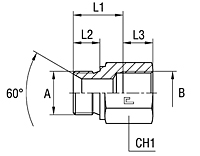 Male Female Straight Adapter Thread BSP Parallel