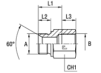 Male Female Straight Adapter Thread Metric Parallel