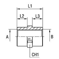 Female Straight Adapter Thread BSP Parallel