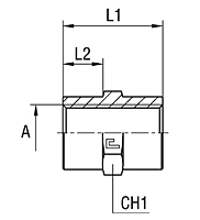 Female Straight Adapter Thread Metric Parallel