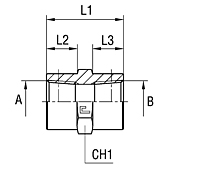 Female Straight Adapter Thread BSP Taper