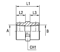 Female Straight Adapter Thread NPT