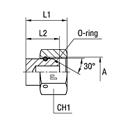 Female Plug with Swivel Nut Thread BSP Parallel