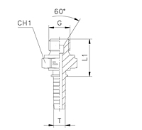 Straight - 60° Cone GAS Parallel Thread