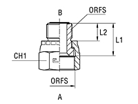 Intermediate reductyionX