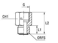 Female Gauge Coupling Thread BSP Parallel